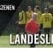 VfB Fortuna Biesdorf – Wittenauer SC Concordia (1. Spieltag, Landesliga, Staffel 2)