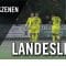 Wittenauer SC Concordia – VfB Hermsdorf (6. Spieltag, Landesliga, Staffel 1)